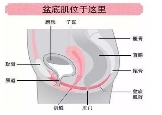 用1000元去医院做盆底肌修复比在家做瑜伽恢复快10000倍