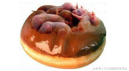 三吱儿是哪里的菜中国十大禁菜有哪些