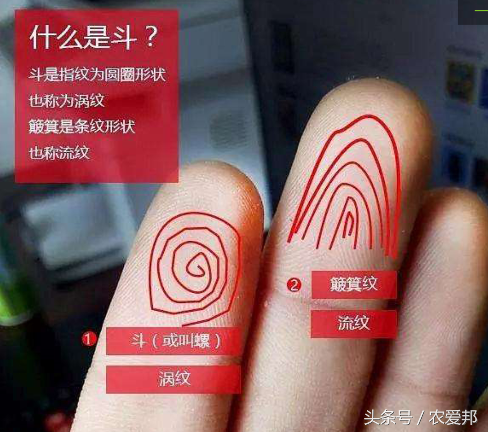 斗和簸箕的说法命运(农村老一辈人常说,手上簸箕和斗的数量,能决定人