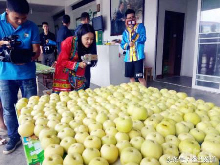 宣恩丰收杯篮球比赛哪里有直播(100场TV 网络直播，垄上频道带你看大湖北丰收盛景！)