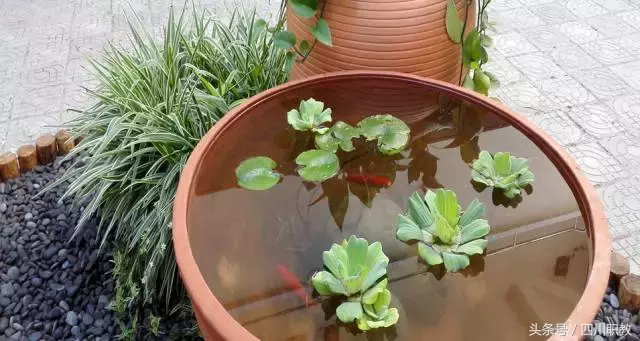 百年师范传统——川北幼儿师范高等专科学校，看学长学姐摆大学