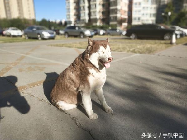 街头篮球\x20外挂(vivo X20全面屏手机体验评测：足够强悍)