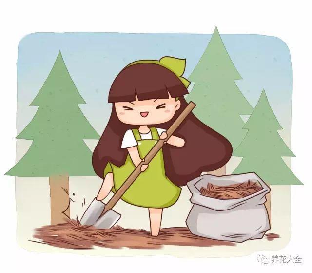 养花用点这种土(养花用的土)