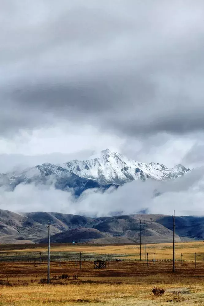 世界屋脊指的是青藏高原.