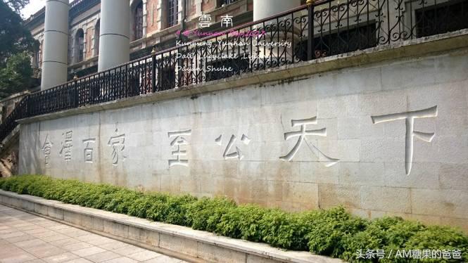 在这场双一流大学盛宴中，云南大学才是红地毯上的主角，其他都