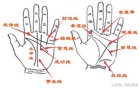五行与手指的关系图图片