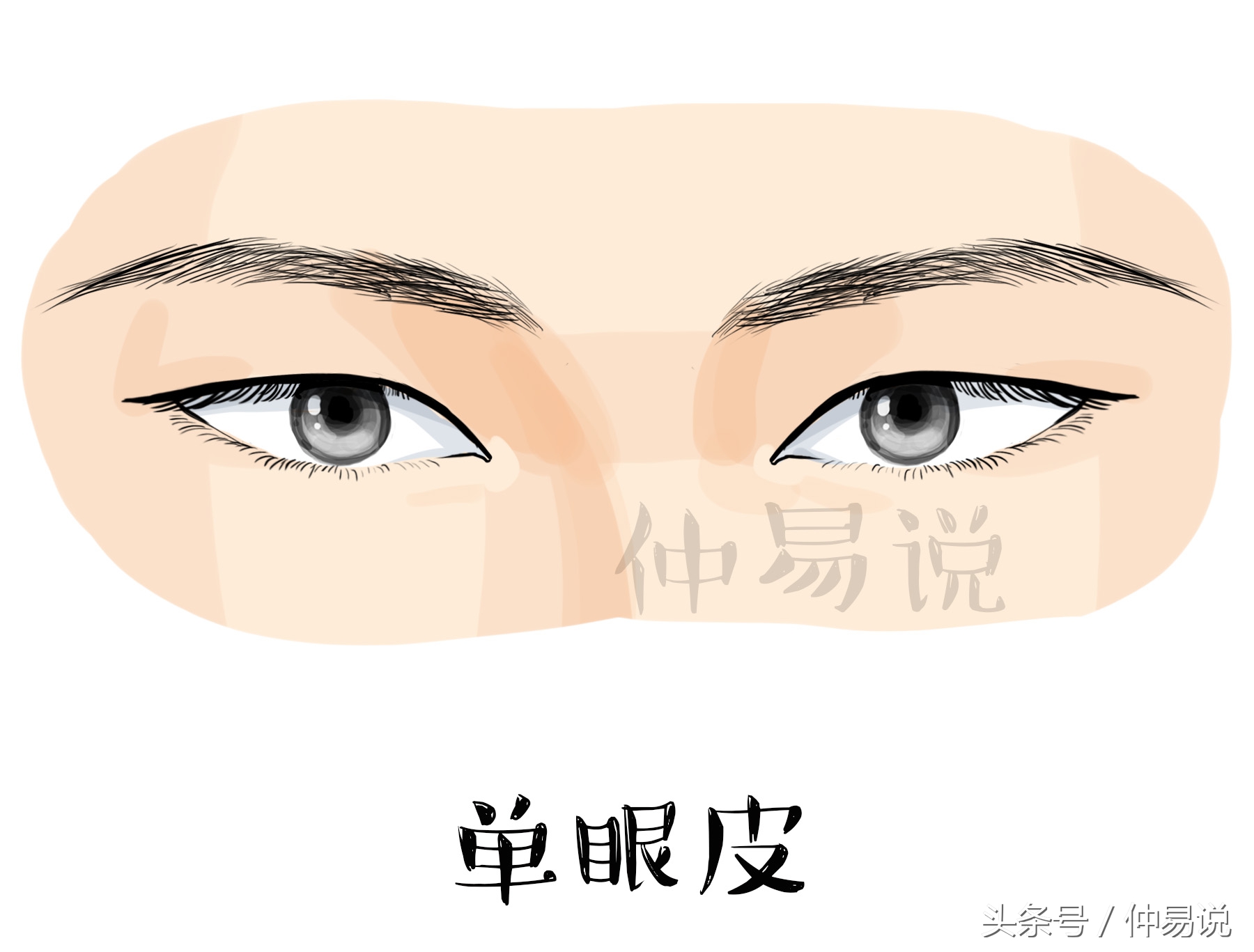 眼睛是单还是双眼皮-我的眼睛是双眼皮还是单眼皮 - 情书号