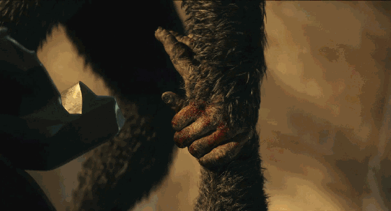 560_302gif 动态图 动图