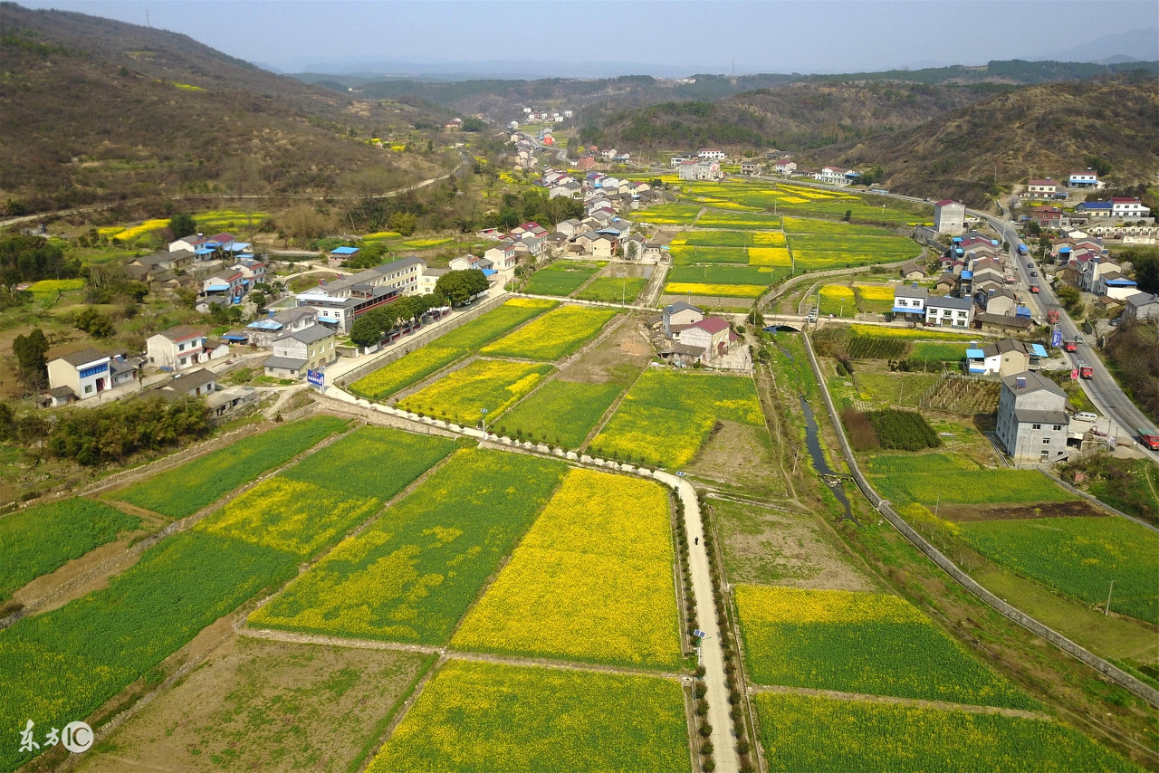 土地流转合同写上这4点，明确这5点才万无一失