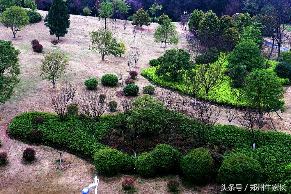每天一所高校：武汉理工大学