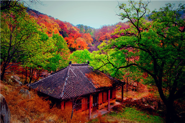 蒙陰百花峪旅遊攻略(十一長假) - 悅聞天下