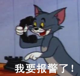 猫和老鼠带字搞笑表情包