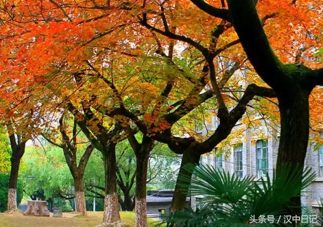 投资15亿,汉中又要建一所大学!