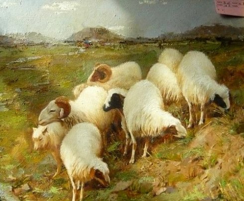 属羊人几月出生命苦 几月出生最好命
