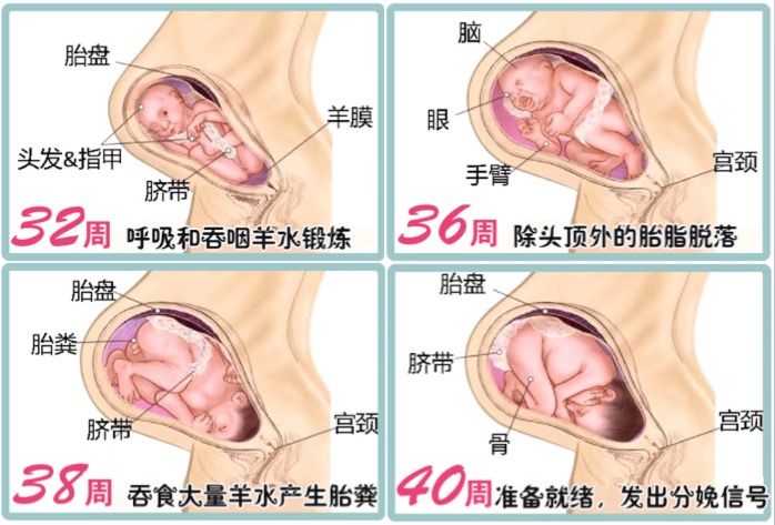 孕晚期运动 饮食  生活中的注意事项