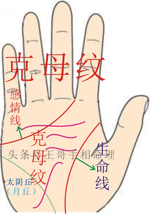 克妻,克子,克母,贪婪,爱占便宜,替人做事爱耍滑头的手相