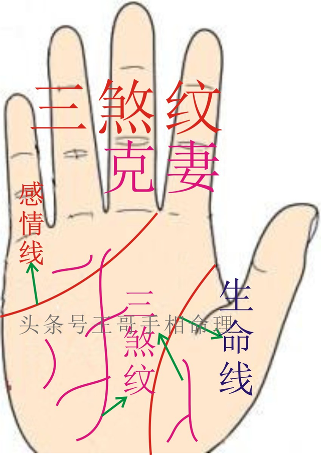 1,三煞纹侵入妻妾宫的人,克妻,克子.