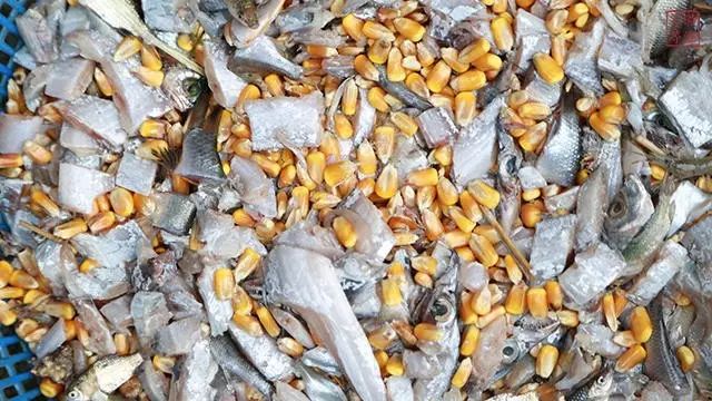 浙大90后理工男，把自己养的阳澄湖大闸蟹送进了米其林餐厅！好吃到流口水！