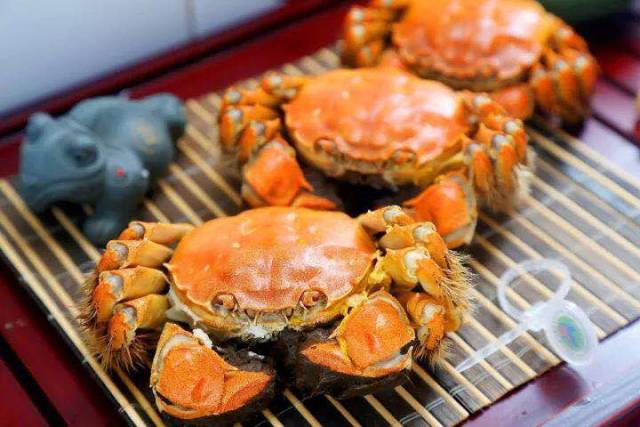 浙大90后理工男，把自己养的阳澄湖大闸蟹送进了米其林餐厅！好吃到流口水！