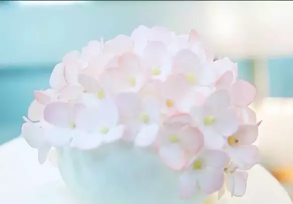 中秋特辑 楚留仙烘焙西点