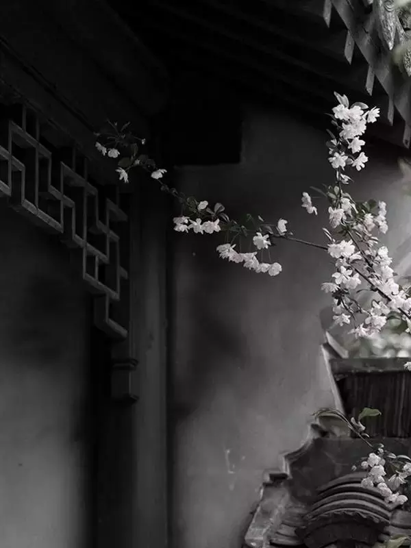 当古人失眠的时候，诗意就来了