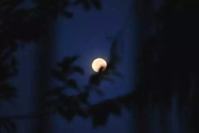 当古人失眠的时候，诗意就来了