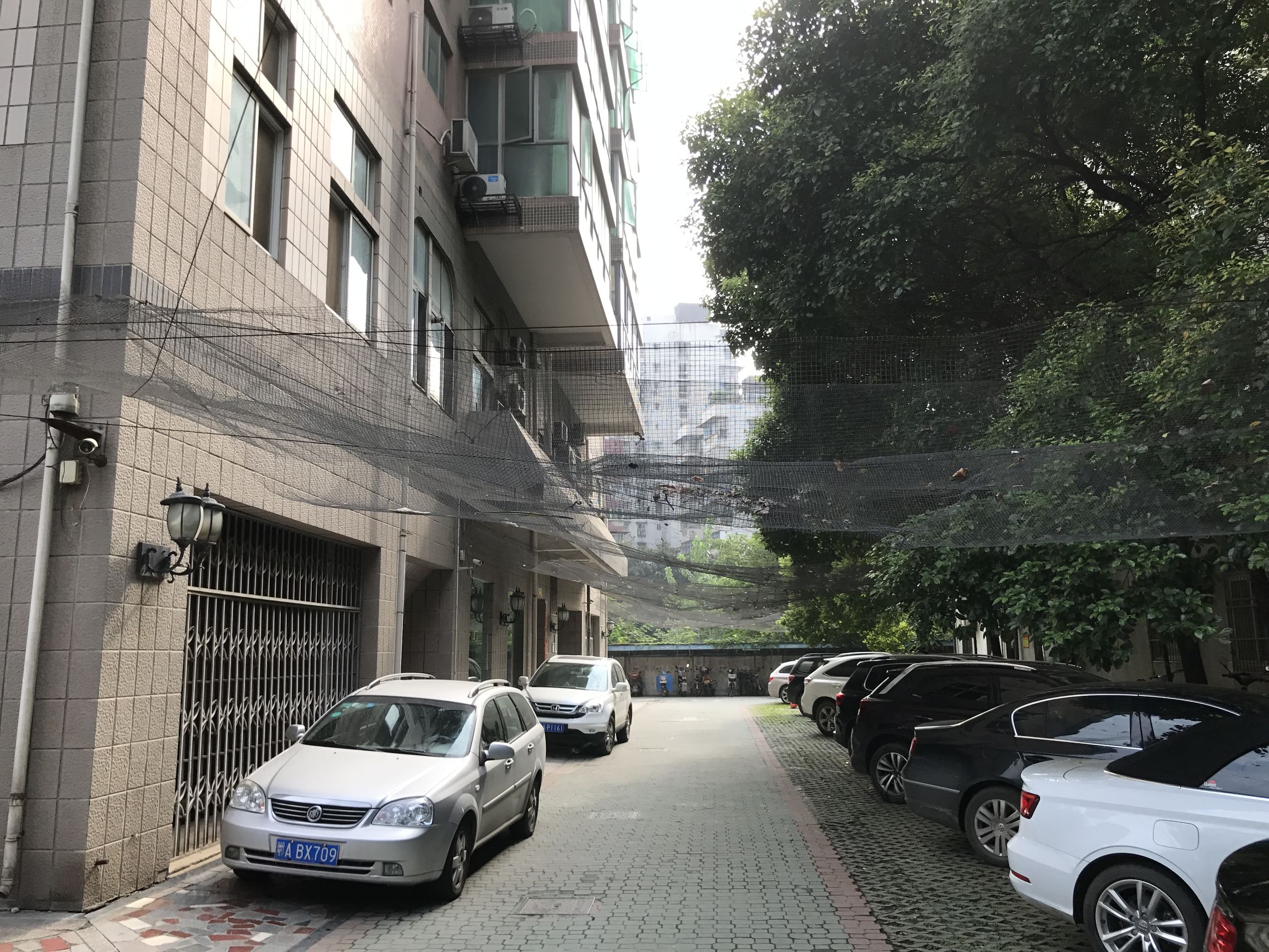 外墙脱离，小区挂满“防空网”，住户烦它又离不开它，咋办？