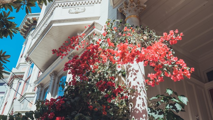 嬉皮士文化，美国历史中不可绕过的话题