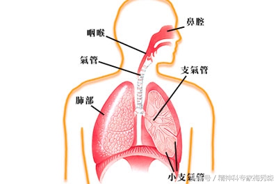 老打哈欠、流鼻涕，一直以为的“感冒”竟因为吸海洛因！