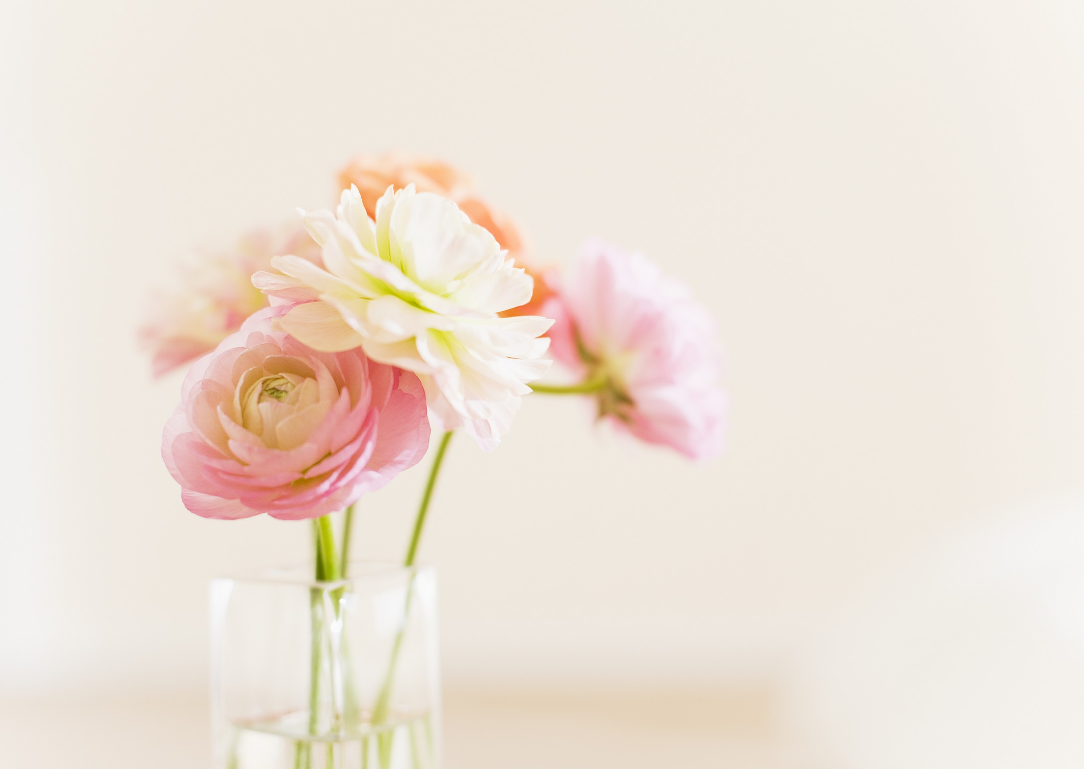 解析丙辰日出生的男女一生婚姻,事业财运,流年运势