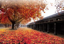 带你了解曲阜师范大学