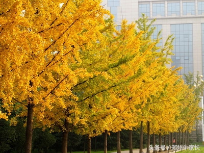 陕西师范大学：六所教育部直属之一，西部地区教师的摇篮