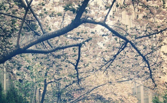 带你了解曲阜师范大学