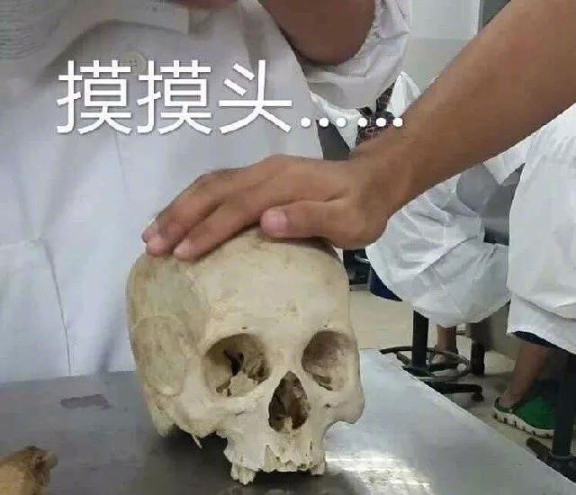 医学生专用表情包