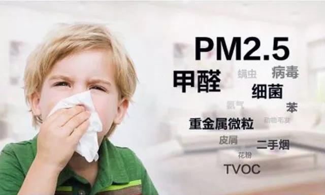 5大品牌活性炭評測來了，甲醛、苯、TVOC，去污染效果哪個好