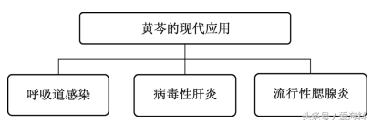 每天懂点中医——清热药物：黄芩