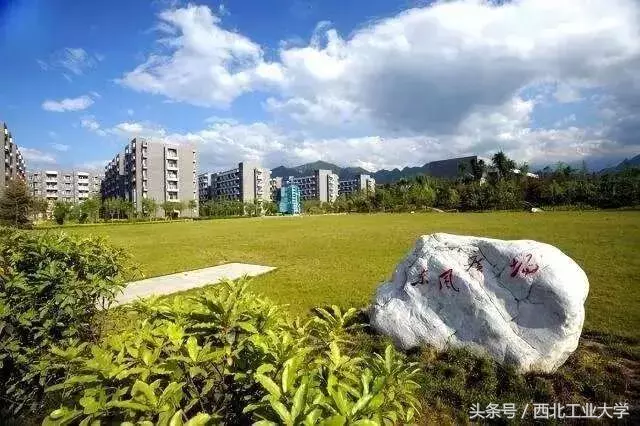 有一种蓝叫“工大蓝”！