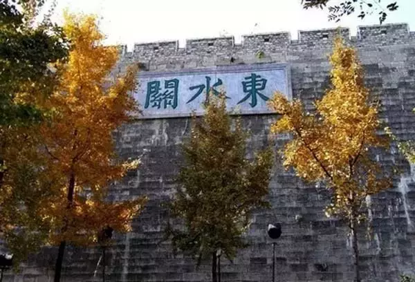 醉美南京｜诗出梧桐秋入叶，梧桐秋梦醉金陵！