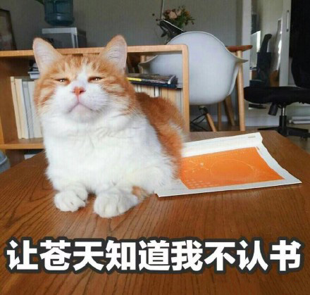 猫的表情包