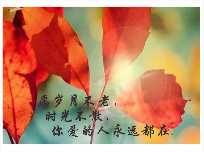 一个笨蛋遇到一个傻瓜(一个笨蛋遇到一个傻瓜电影)