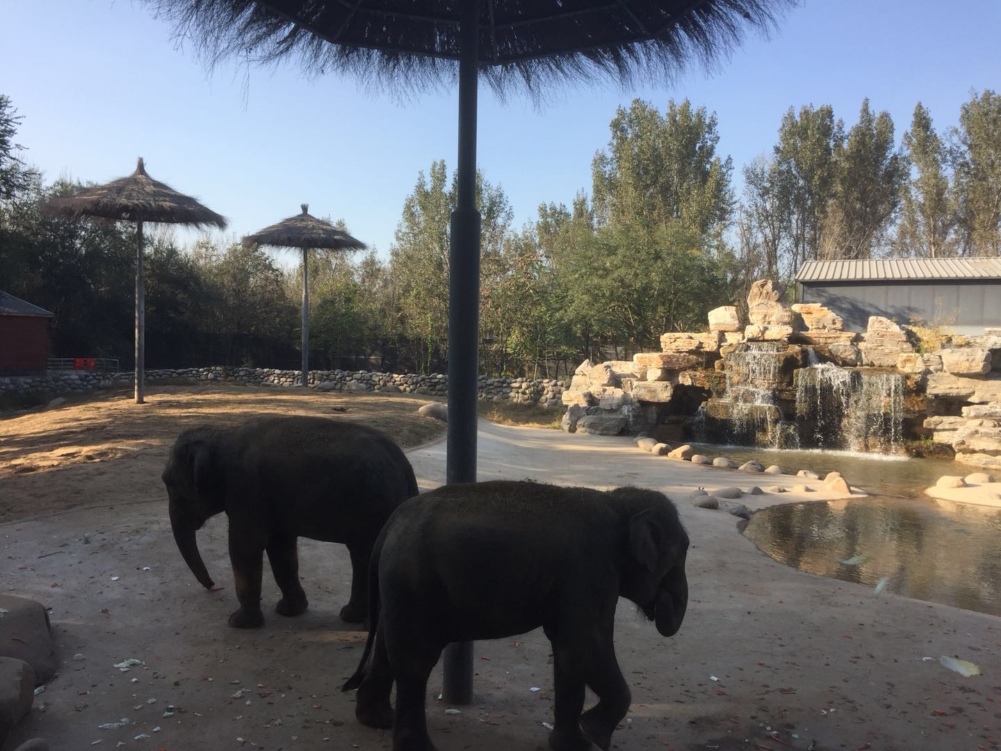 北京野生动物园门票（北京野生动物园游览全攻略，看完让你轻松带娃玩一天！）