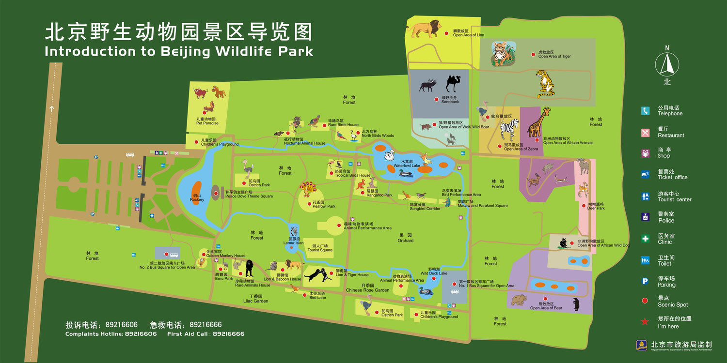 北京野生动物园门票（北京野生动物园游览全攻略，看完让你轻松带娃玩一天！）