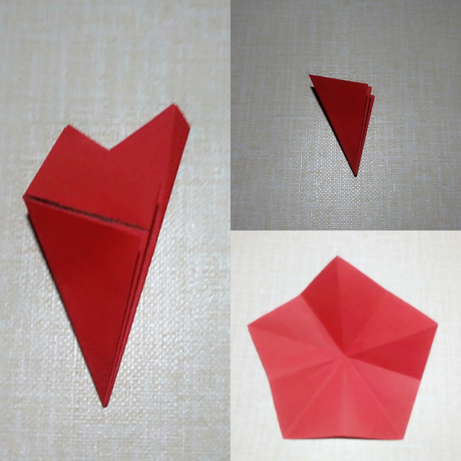 卡纸折花图片大全(花朵折纸教程合集) - 赤虎壹号