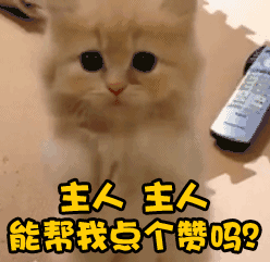 15万/m²？！厦门17所名校学区房价格曝光……孩子还有学上吗？