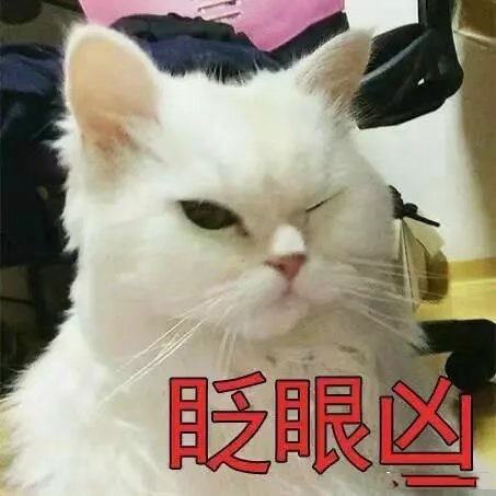 超级凶的猫咪表情包