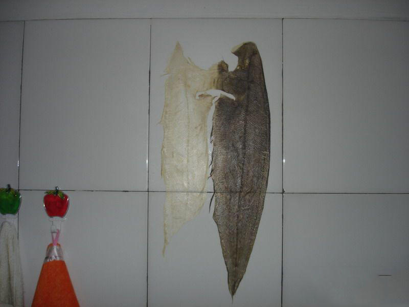 海下人不愿吃它，沿海地區人們習慣叫它“舌頭魚”