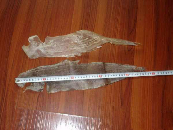 海下人不愿吃它，沿海地區人們習慣叫它“舌頭魚”