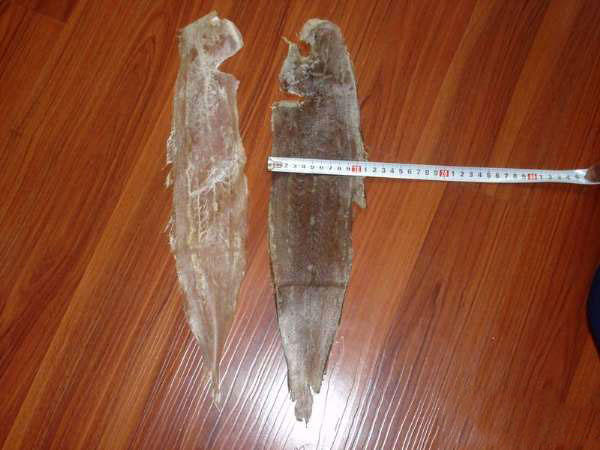 海下人不愿吃它，沿海地區人們習慣叫它“舌頭魚”