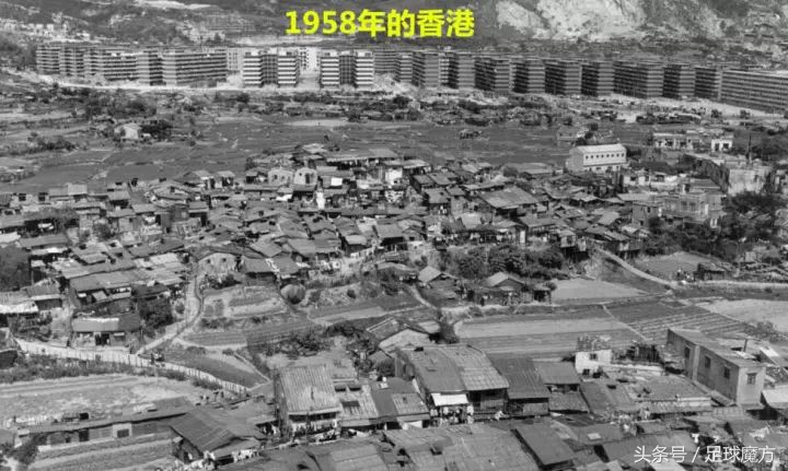 文图拉为什么进不了世界杯了(那个让意大利60年来首次无缘世界杯的文图拉是何许人？)