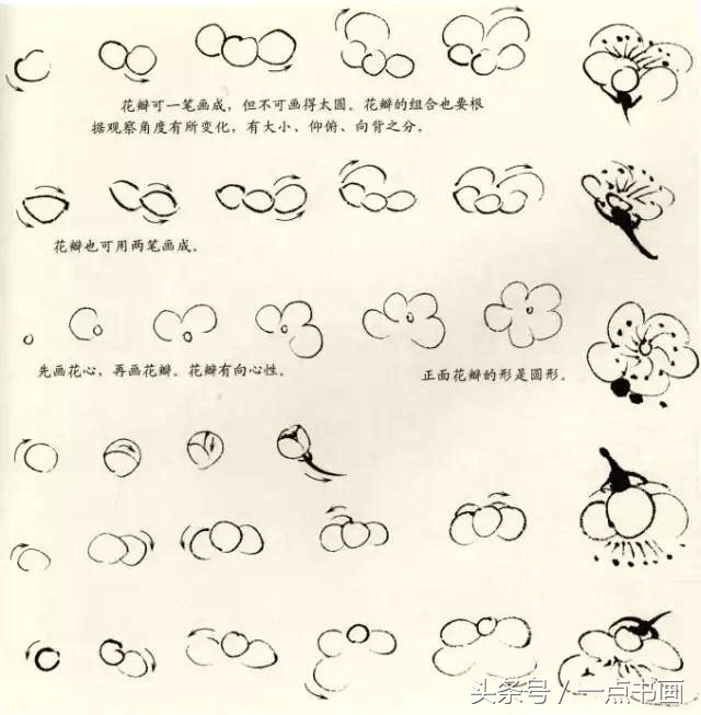梅花花朵画法(word文档梅花怎么花)